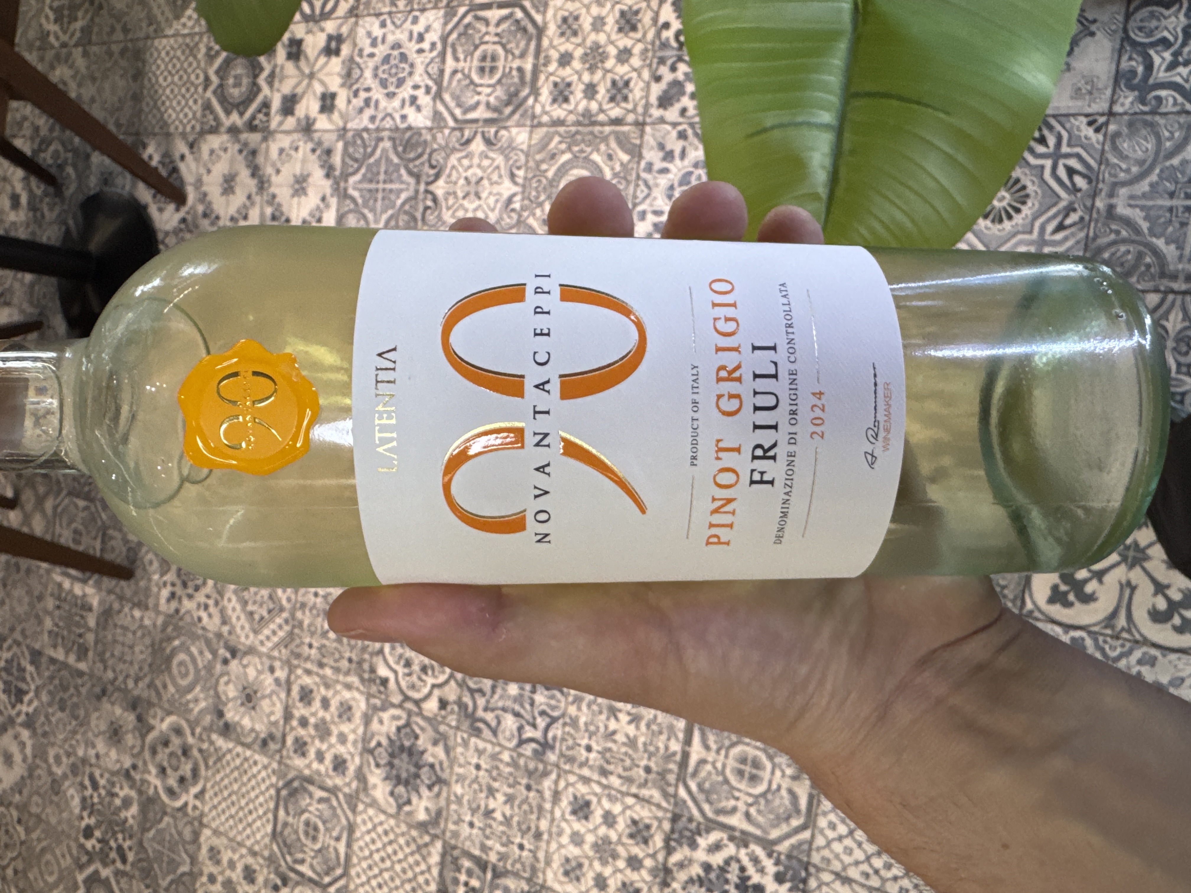 Novantaceppi Pinot Grigio
